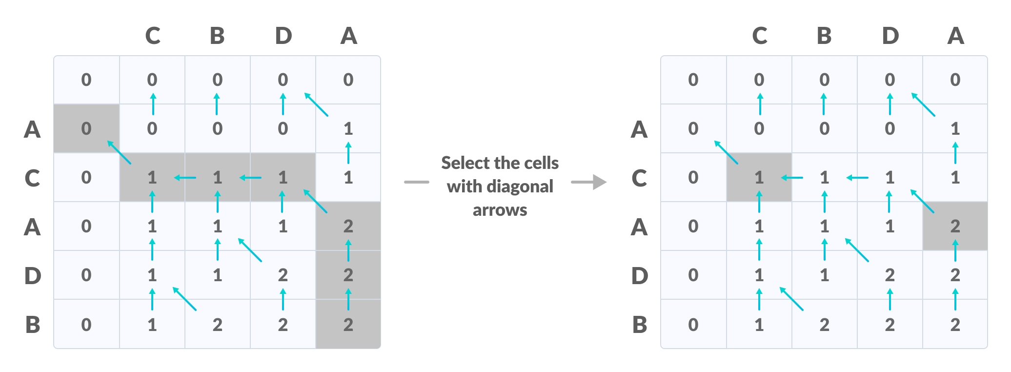 Longest Common Subsequence create a path